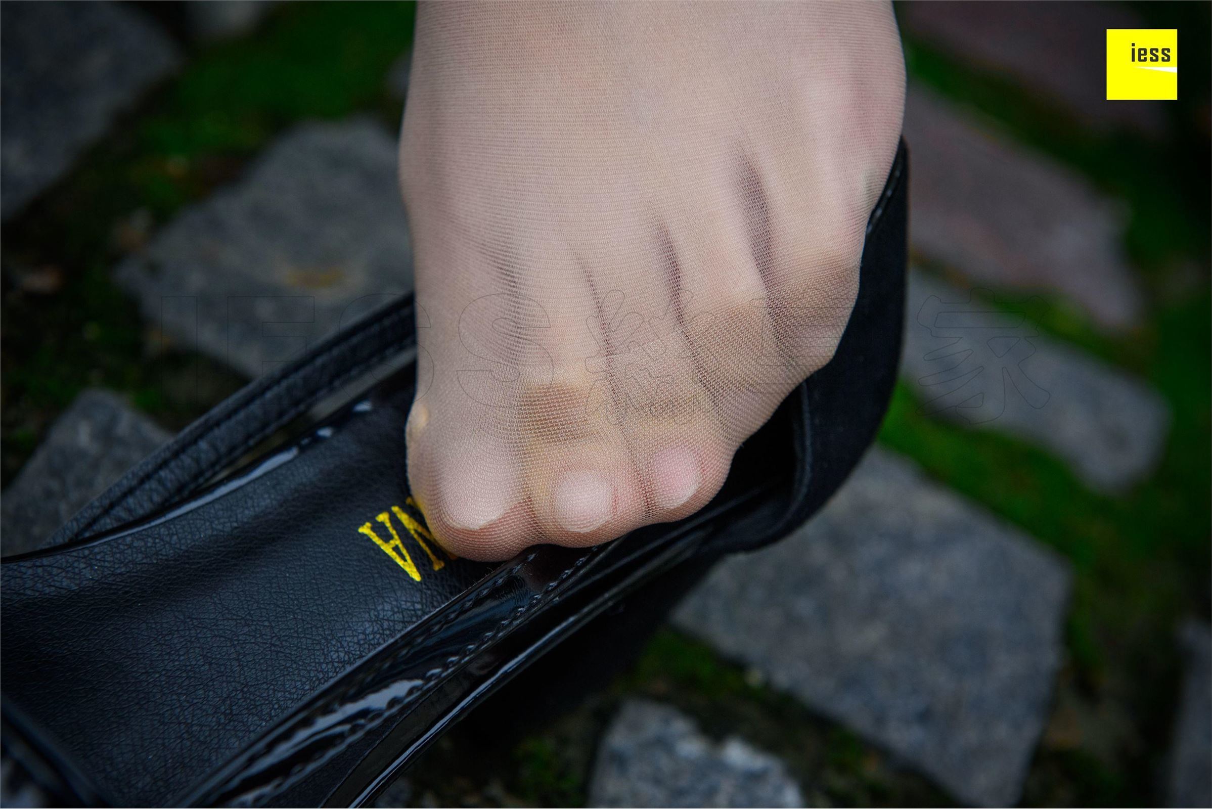 [IESS异思趣向]2018-02-01 No.161婉萍《玫瑰与肉丝》